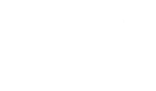 wine tours chile